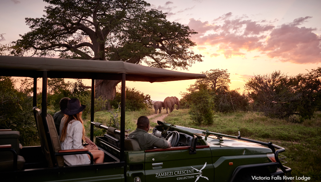 Victoria Falls River Lodge game drive